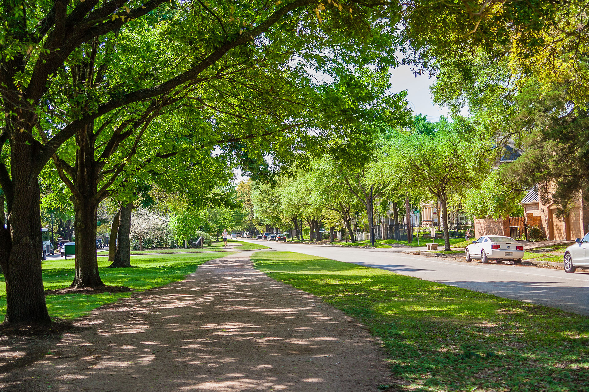 Luxury Apartments in Houston Heights Contact Domain Heights